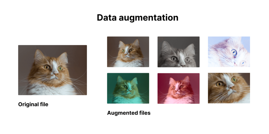 Data augmentation - cats