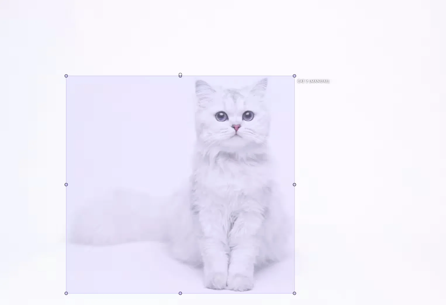Bounding box