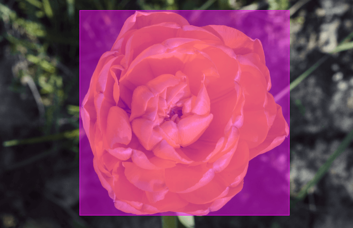 Bounding Box Annotation