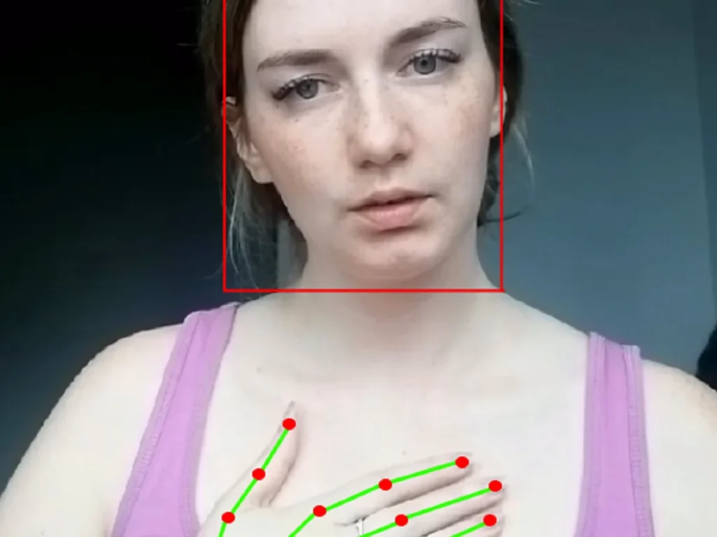 Gesture Recognition Dataset