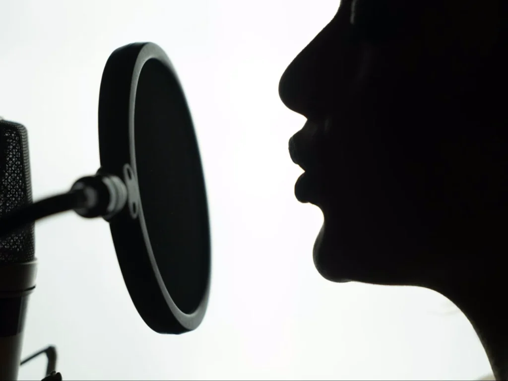 Speech Emotion Recognition Dataset