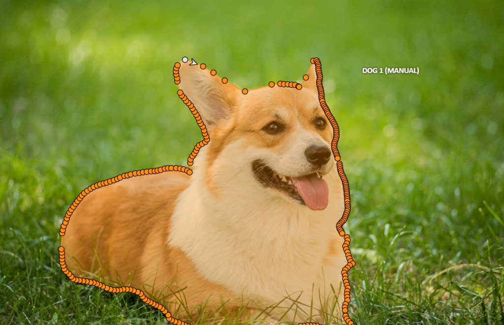 Corgi dog as an example of image segmentation