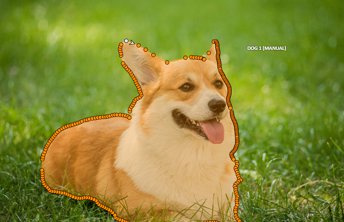 Corgi dog as an example of image segmentation