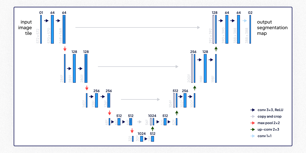 U-Net model diagram showing encoder-decoder structure with convolution, pooling, and upsampling for image segmentation