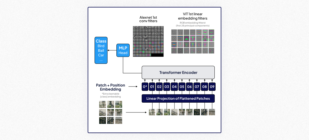 Diagram of Vision Transformer (ViT) showing patch embedding, position embedding, transformer encoder, and class prediction using MLP head