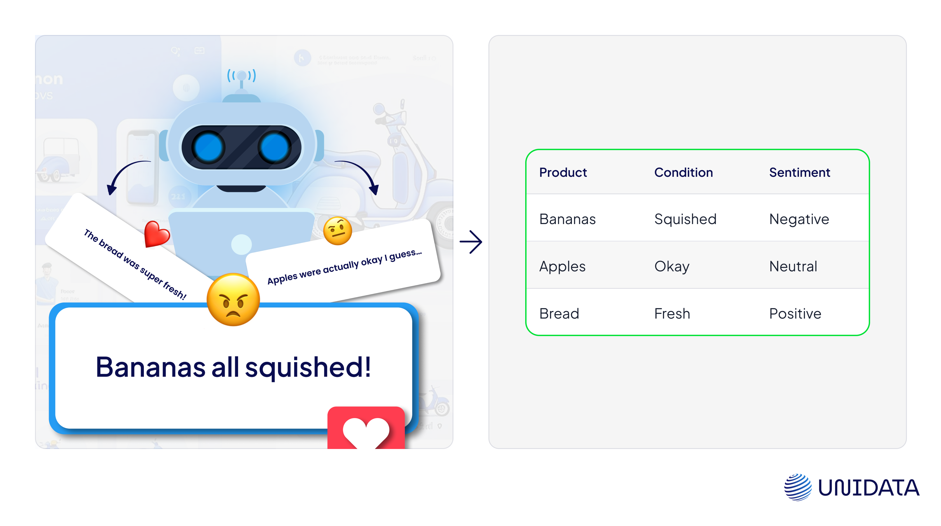 Unidata retail text annotation