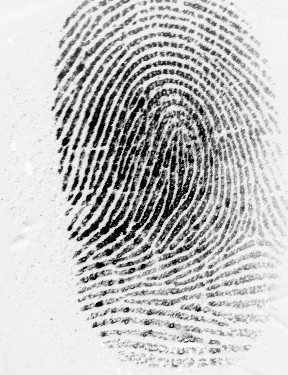 forensic fingerprint dataset