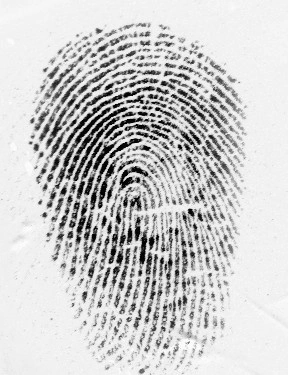 forensic fingerprint dataset