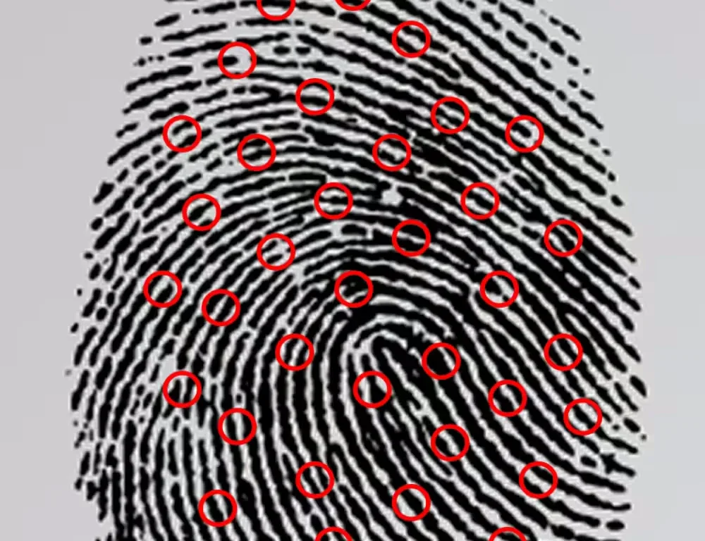 Forensic Fingerprint Dataset