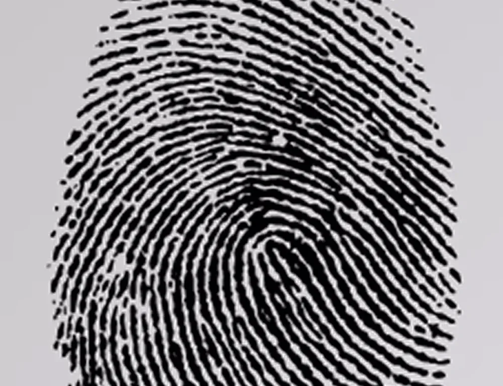 Forensic Fingerprint Dataset