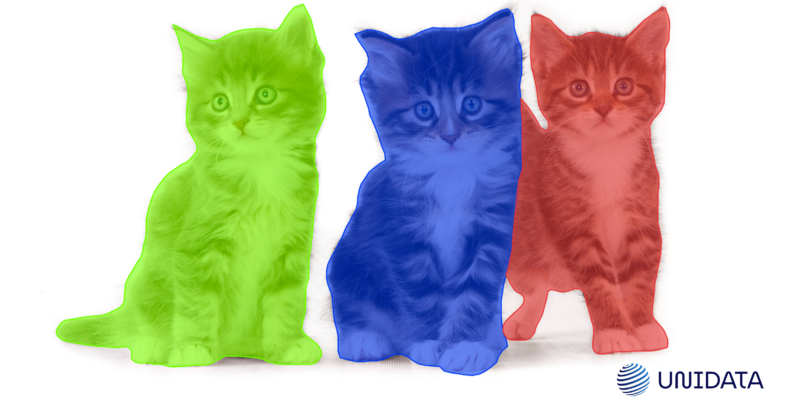 Panoptic Segmentation – Data Annotation Guide