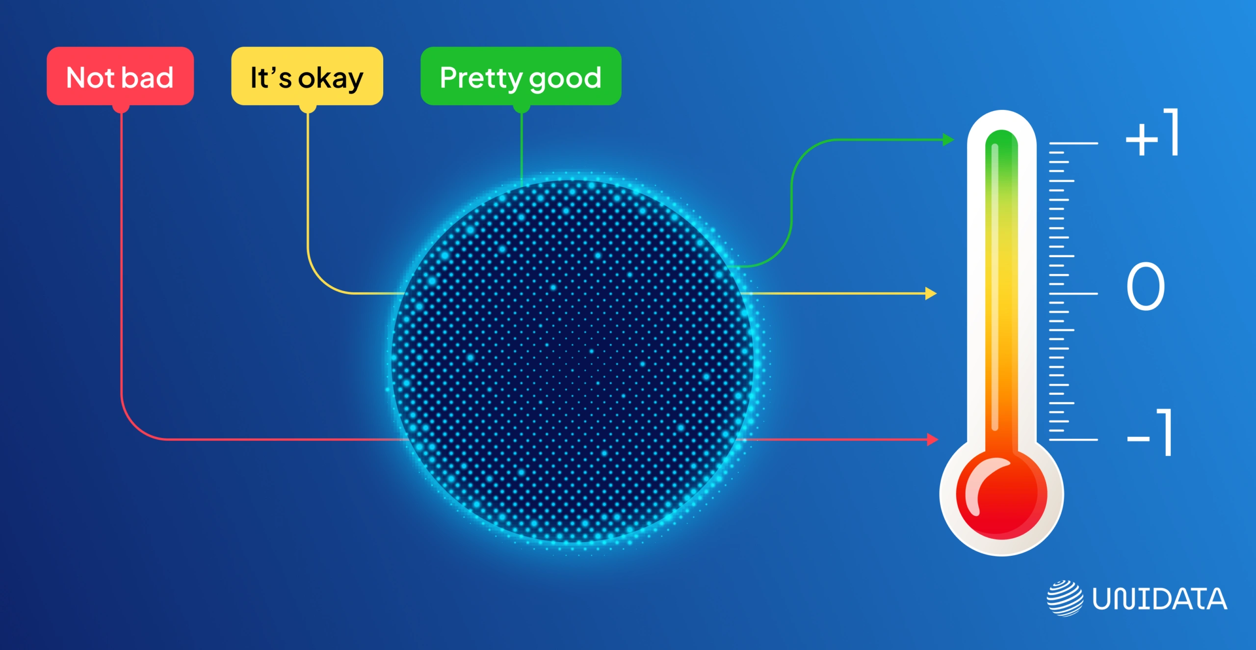 Unidata Customer Sentiment case