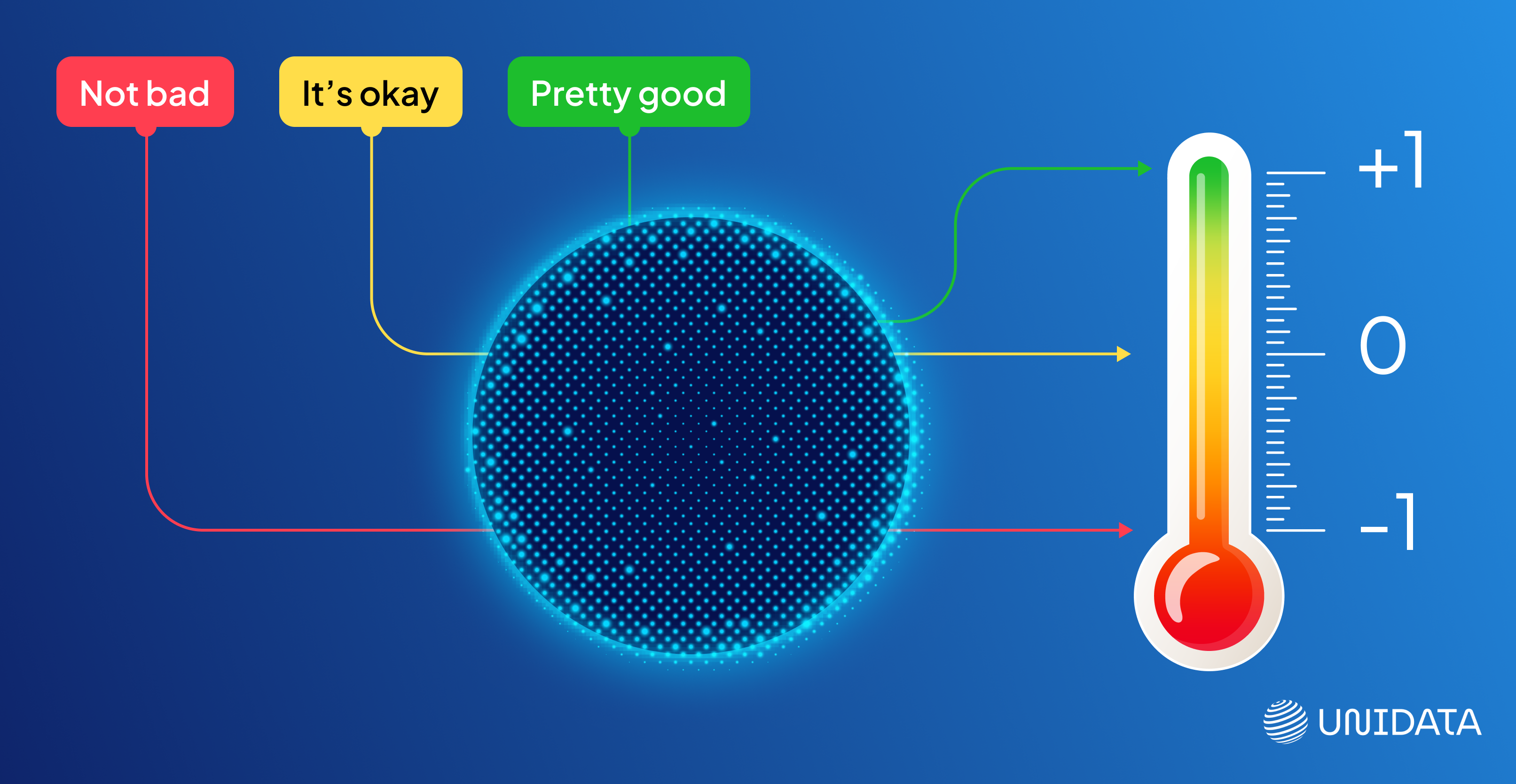 Unidata Customer Sentiment case