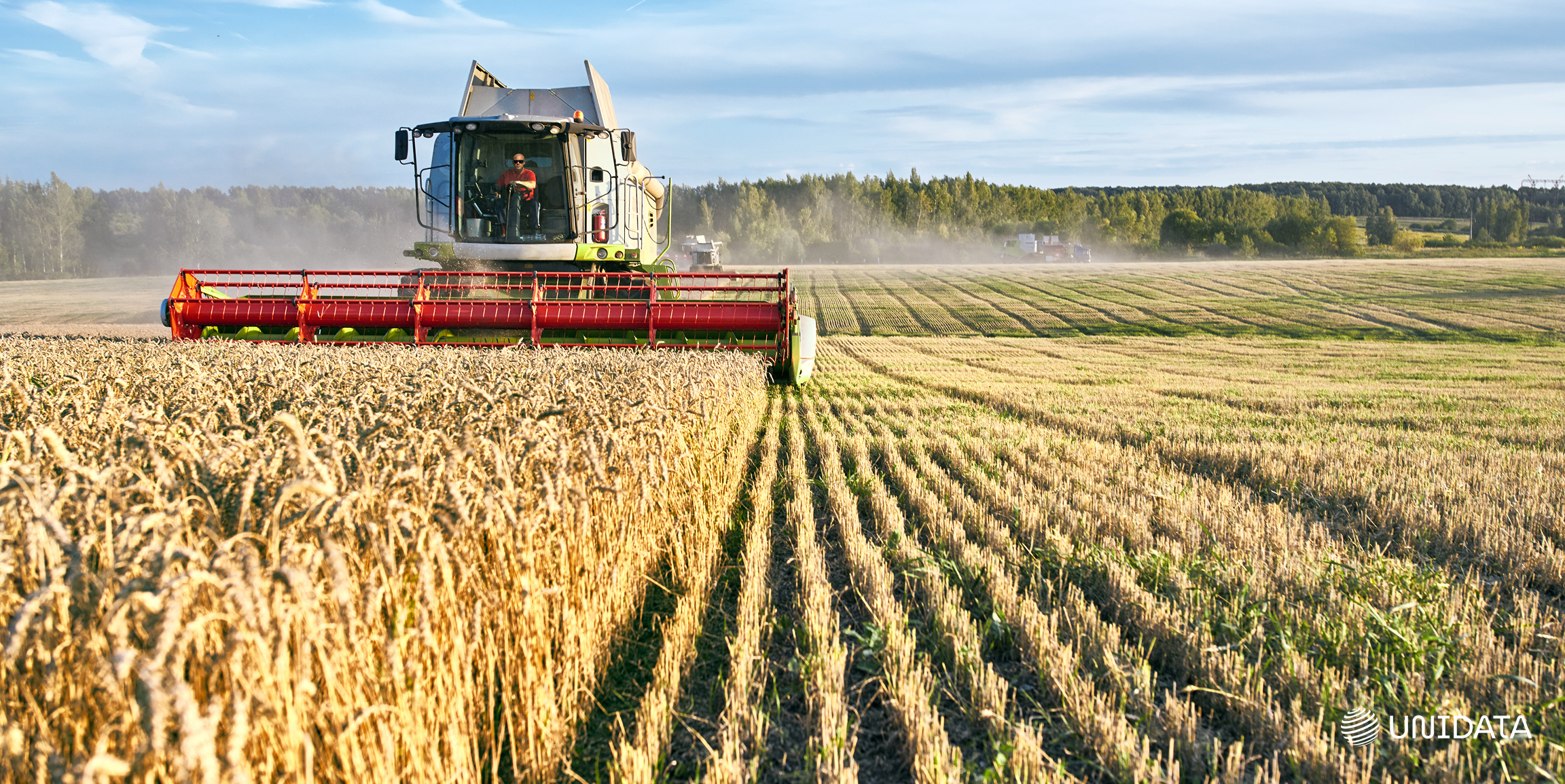 Image recognition in Agriculture