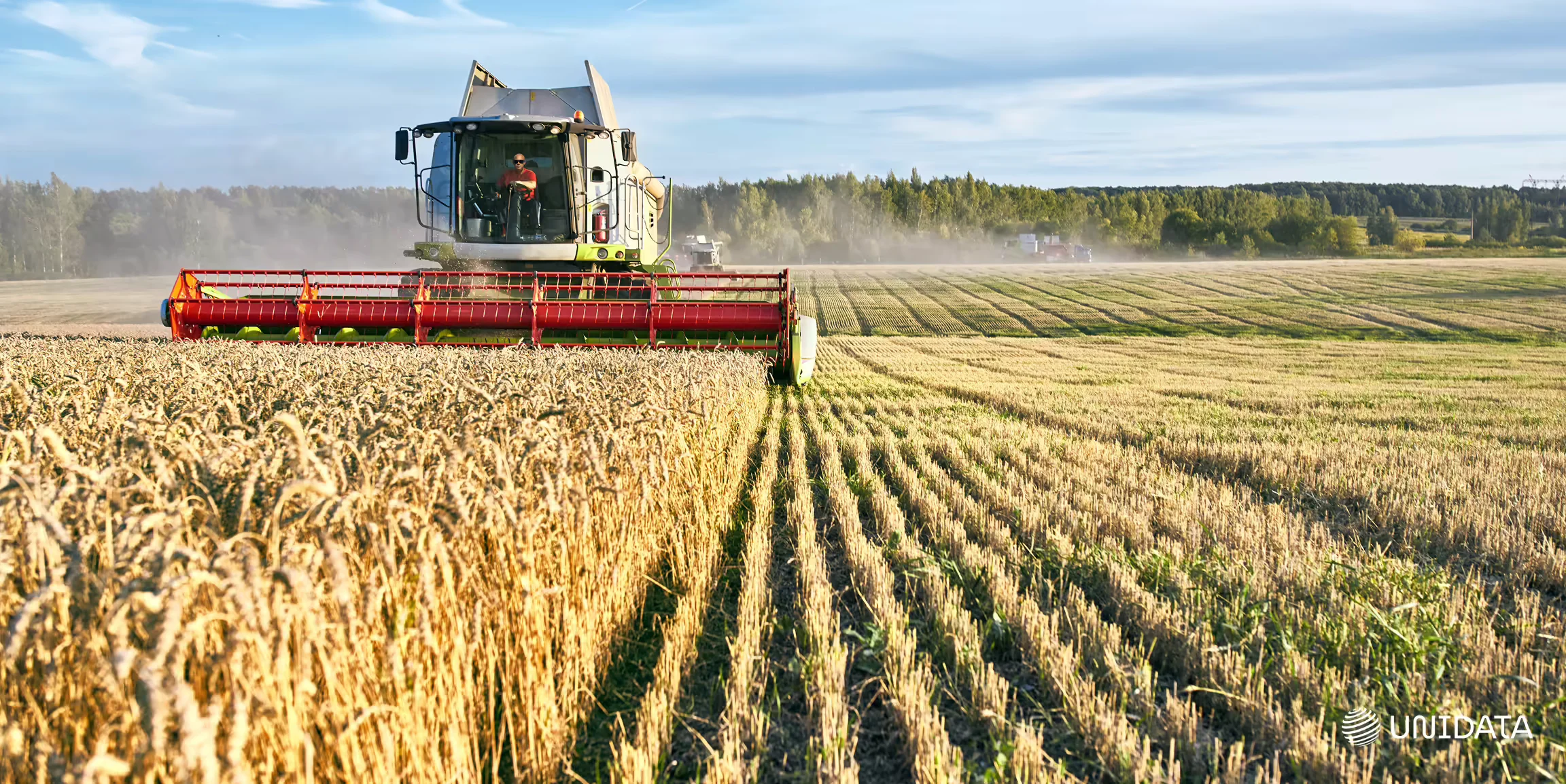 Image recognition in Agriculture