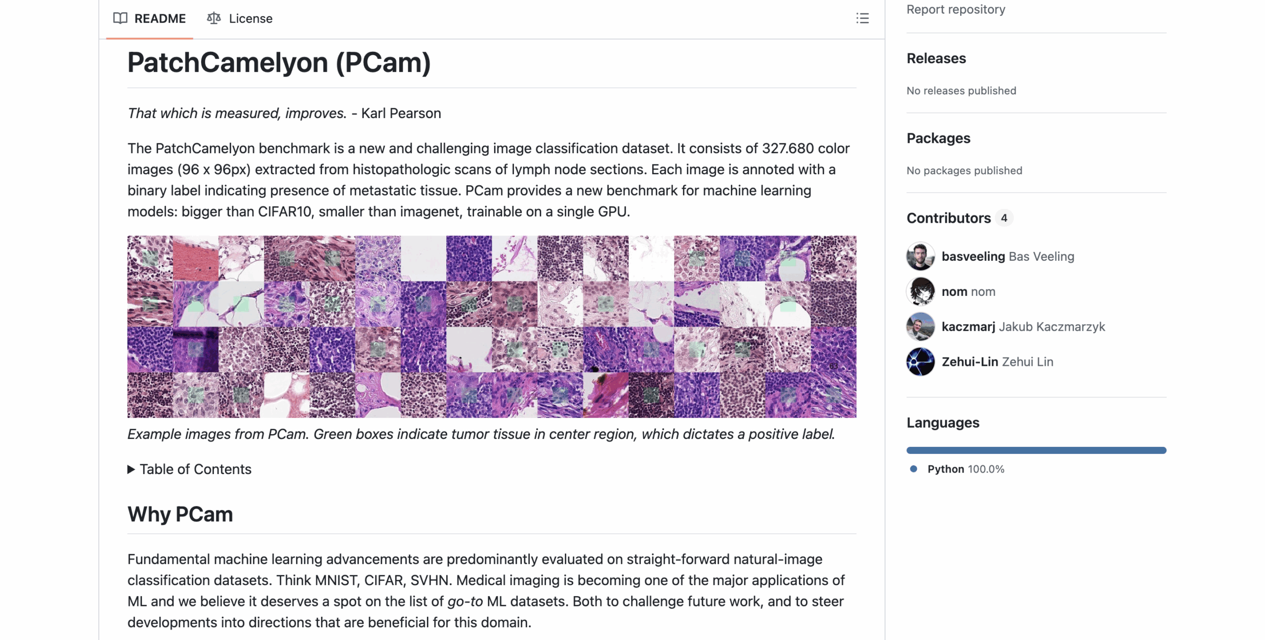 PatchCamelyon (PCam)