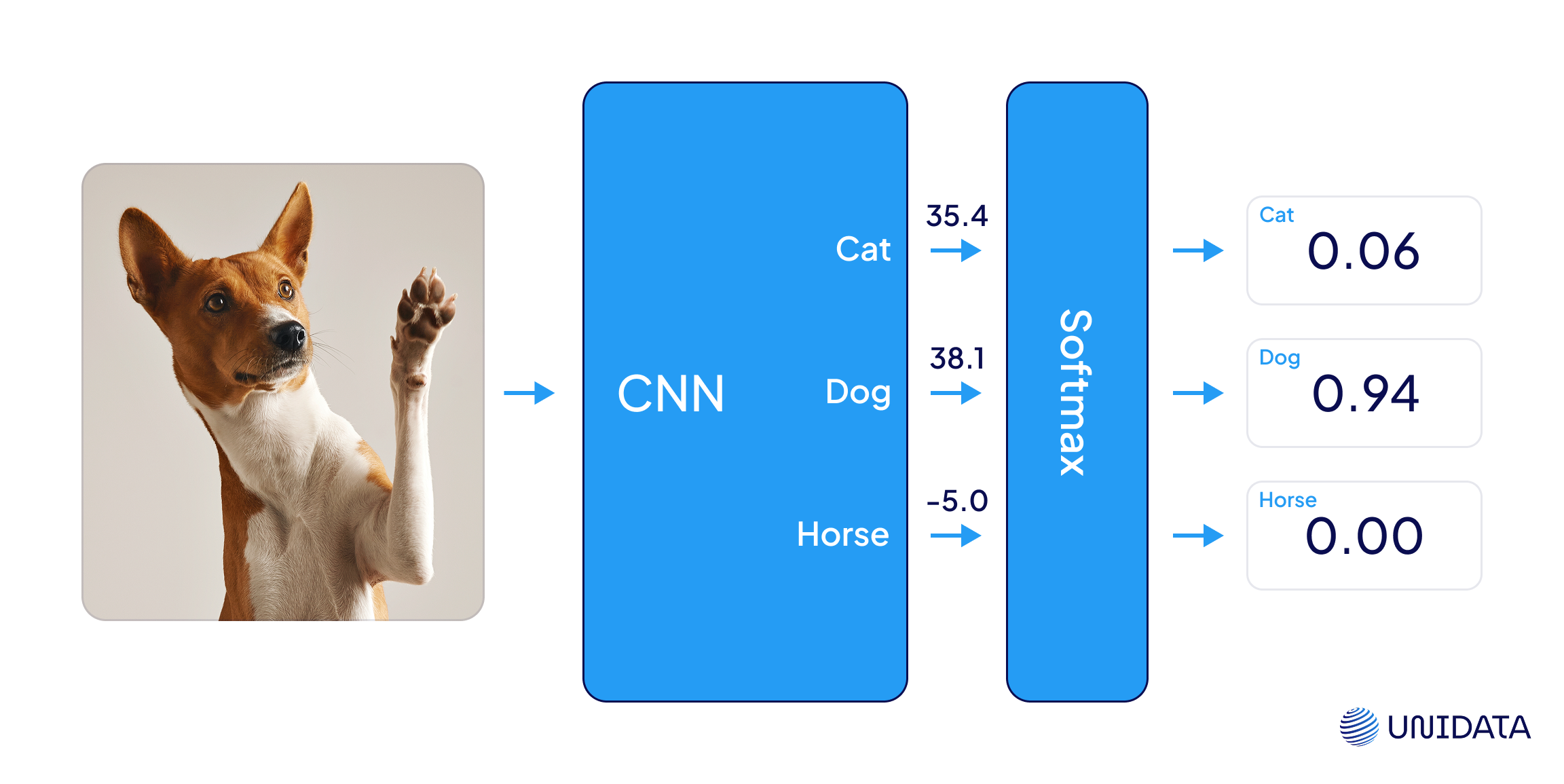 Classification with softmax