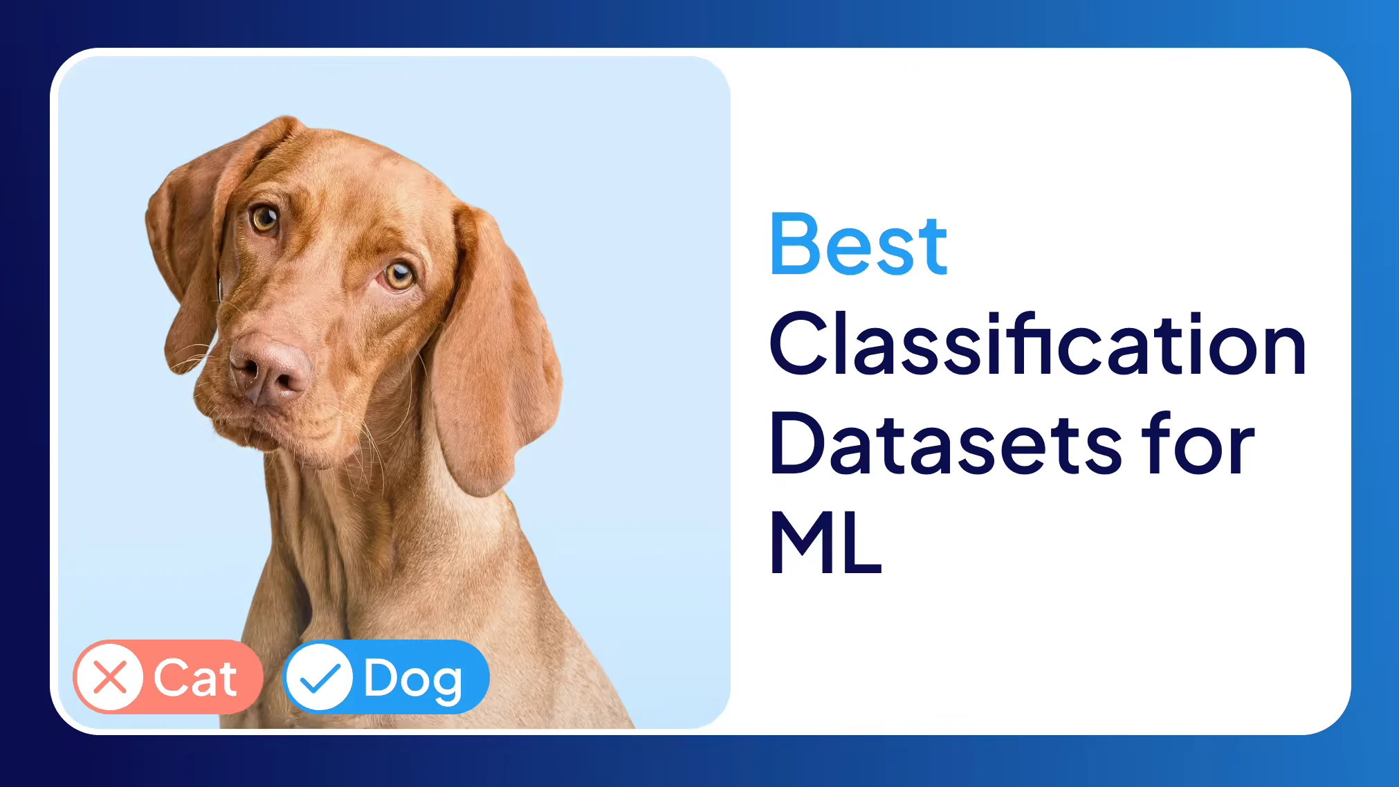 Best Classification Datasets for Machine Learning 
