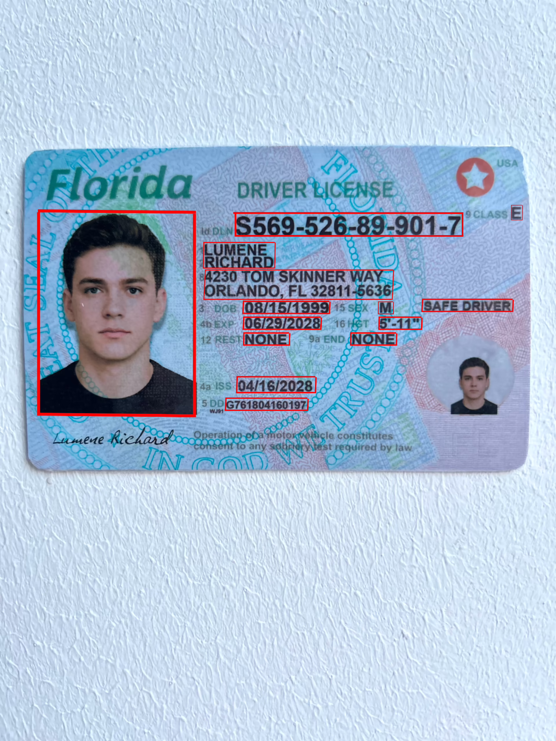 USA driver license dataset