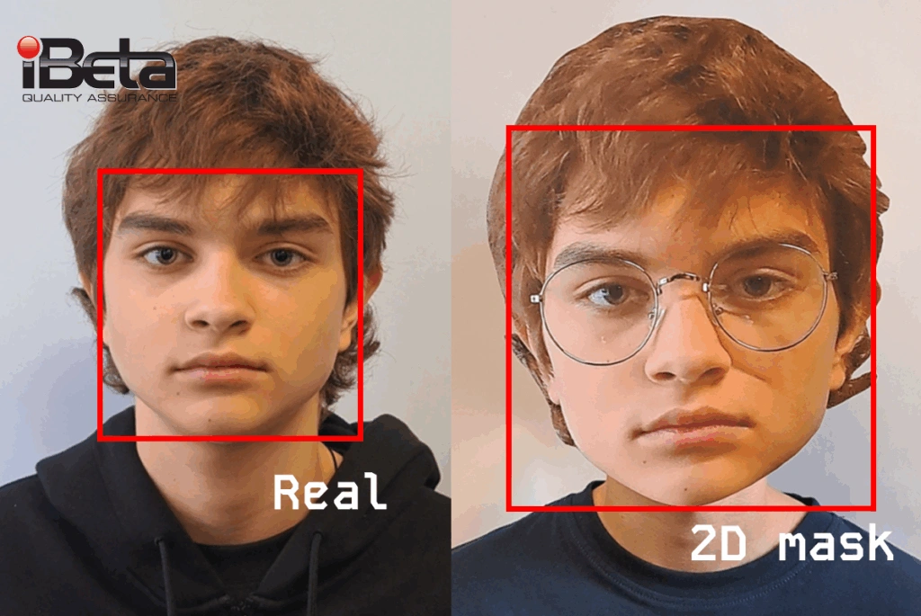 ibeta lids cover image