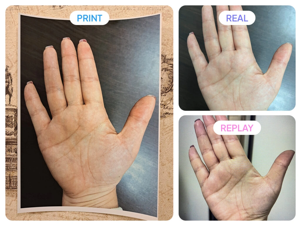 open palm hand images dataset