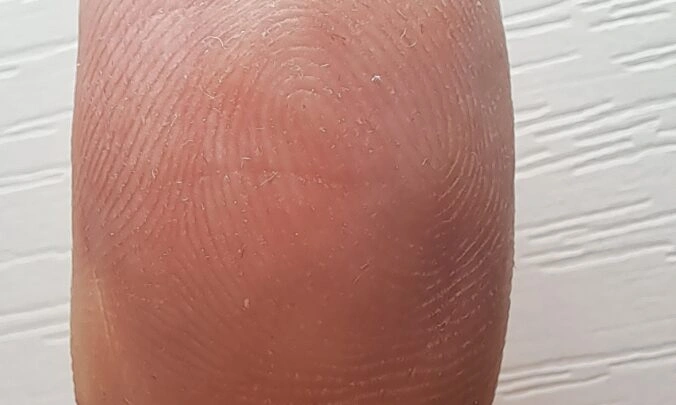 Biometric Fingerprint Spoofing Dataset