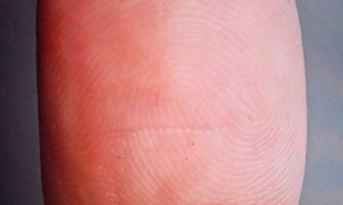 Biometric Fingerprint Spoofing Dataset