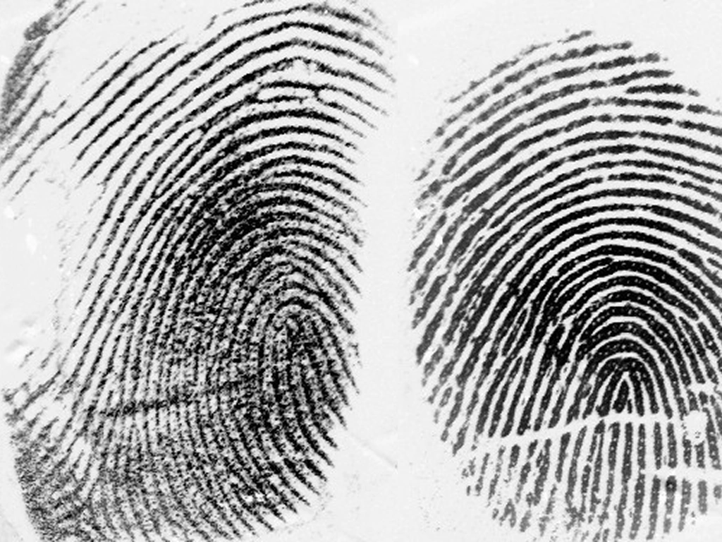 Multi-Material Fingerprint Spoofing Dataset