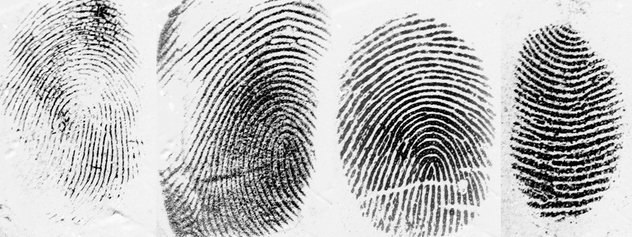 Multi-Material Fingerprint Spoofing Dataset