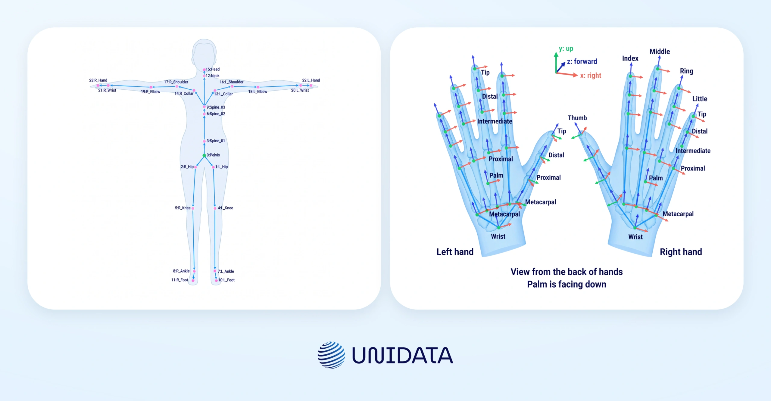 Body tracking: 24 skeleton points, 26 per hand