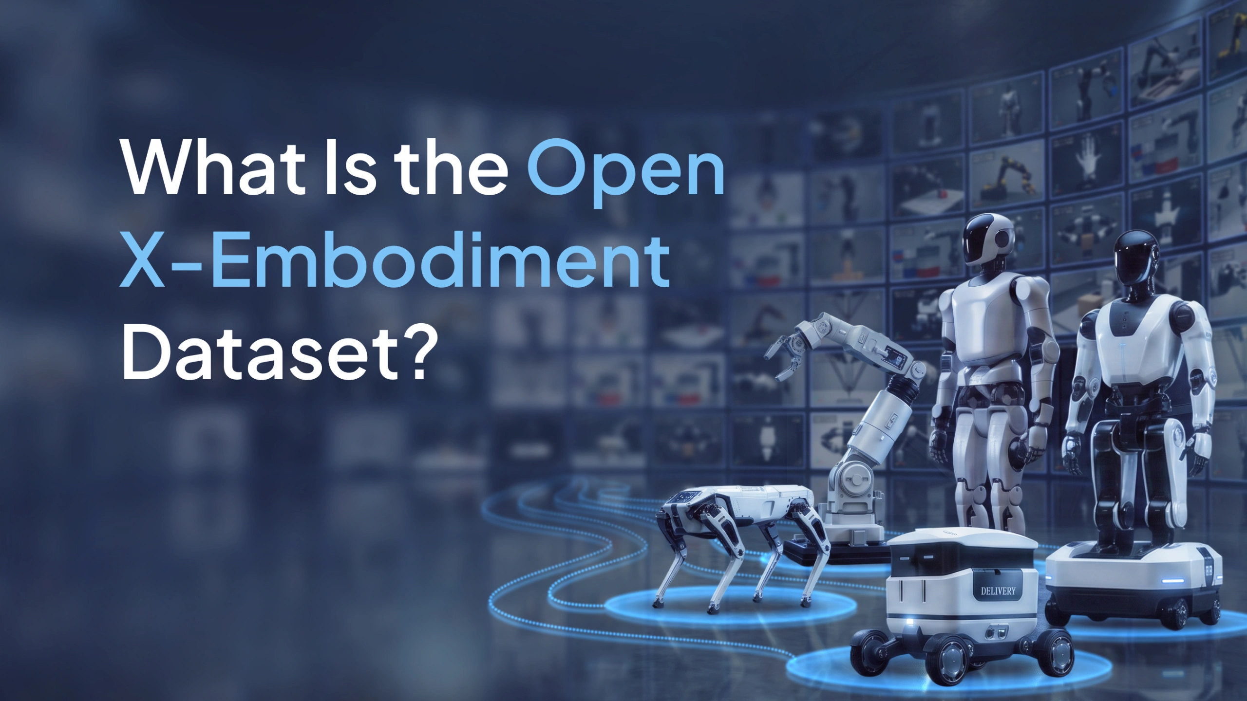 What Is the Open X-Embodiment Dataset?